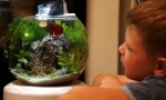 Akvarij za dijete