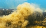 Anakonda