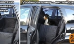Avtogamaki za pse