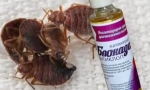 Blokade antiklop i nalog za prijavu