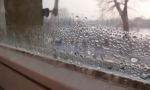 Kućanski i narodni lijekovi za uništavanje kalupa