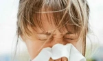 Dermatofage peric ili prašina