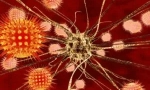 Dijagnoza, liječenje i prevencija encefalitisa koji se prenosi krpeljem