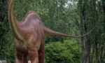 Diplodokus