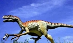 Dromaosaur