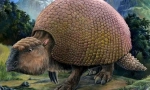 Gliptolon