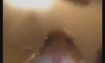 Hamster pogleda u komoru: što znači novi meme