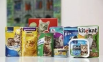 Kako prevesti mačku na suhu hranu s drugim vrstama hrane