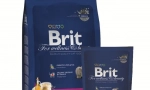Cat food brit: recenzije i preporuke veterinara