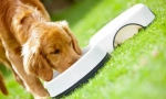 Purina pro plan psa feed: premium razred spreman