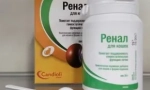 Feed aditiv renal edvande: učinkovita pomoć u zatajenju bubrega u mačkama