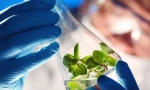 Koja znanost biologija?