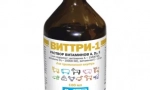 Značajke složenog vittri-1 vitamina za mačke
