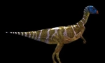 Otrca