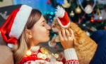 Sretna nova godina, mačka! 14 novogodišnjih ideja za dar za mačke