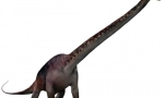 Seizmicosaur