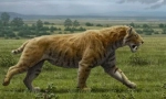 Smilodon