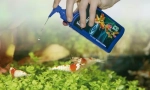 Alati za akvarij. Kemija skrbi, vitamini, klima uređaji