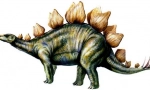 Stegon
