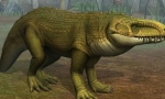 Tekodontta