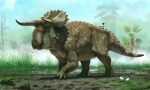 Hertbivore dinosauri