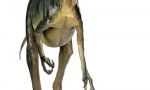 Troodovi