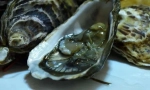 Kamenica