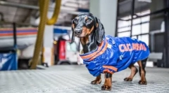 4 Poznati porezi koji pomažu ljudima