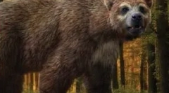 Arktodus