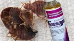 Blokade antiklop i nalog za prijavu