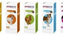 Bravkto od krpelja, buha i drugih parazita