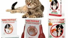 Slavi se od buha i krpelja za mačke i pse