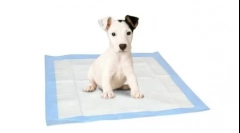 Što je bolje za pse - pladanj ili pelery