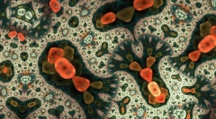 Što je najjednostavnije?