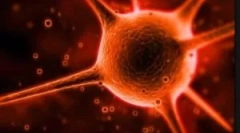 Što je kriptosporidia i koje su metode njegovog liječenja?