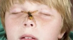 Djelovanja roditelja, ako je beba malo osa