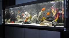 Akvarij za uređenje