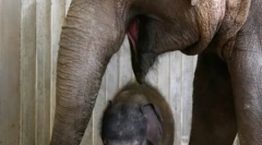 Beba, okružena materinskom skrb i ljubav (23 fotografije)