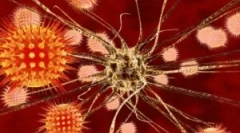 Dijagnoza, liječenje i prevencija encefalitisa koji se prenosi krpeljem