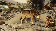 Divlji preci domaćih pasa: pogled na stijene slične vukovima