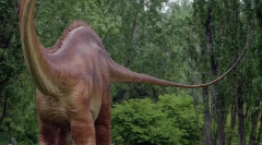 Diplodokus