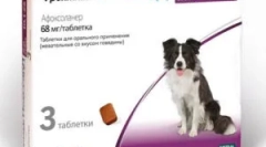 Frontline nexgard i upute za njegovu uporabu