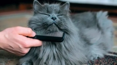 Hat-higijenski postupci