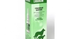 Kapi očiju za mačke