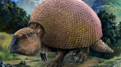 Gliptolon