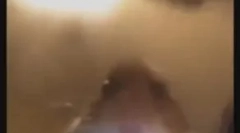 Hamster pogleda u komoru: što znači novi meme