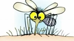 Učinkovito ispucanja komaraca