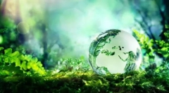 Ecosystem: komponente, struktura, power lanci