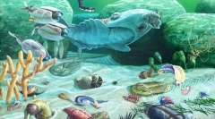 Evolucija divljih životinja