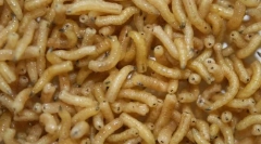 Kako se larva meso liječi, ranjeni su ranjeni?